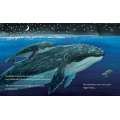 Finn'S First Song: A Whaley Big Adventure - Book - Paracay
