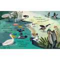 Follow The Flyway: The Marvel Of Bird Migration - Book - Paracay