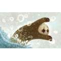 Odder: An Otter'S Story - Book - Paracay