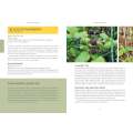 Pacific Harvest: A Northwest Coast Foraging Guide - Book - Paracay