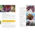 Pacific Harvest: A Northwest Coast Foraging Guide - Book - Paracay