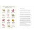 The Milkweed Lands - Book - Paracay