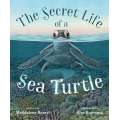 The Secret Life Of A Sea Turtle - Book - Paracay