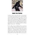 Bigfoot Campfire Tales - Book - Paracay