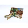 Discovering The Amazing World Of The Desert - Book - Paracay