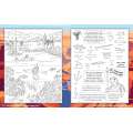 Hidden Picture Puzzles National Parks & Famous Places - Book - Paracay