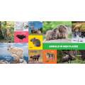 My First 100 Pacific Northwest Animals - Book - Paracay