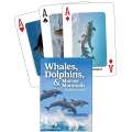 Whales, Dolphins, & Marine Mammals Playing Cards - Book - Paracay