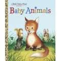 Baby Animals - Book - Paracay