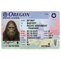 Bigfoot Drivers License - Oregon - Sticker - Paracay