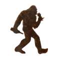 Bigfoot With Wine Glass And Bottle - Magnet - Paracay Bigfoot With Wine Glass And Bottle - Magnet - Paracay
