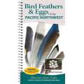 Bird Feathers & Eggs of the Pacific Northwest: Identify 44 Species of Common Backyard Birds - Book - Paracay