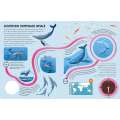 Epic Animal Journeys in the Sea: Animal Tracking Compass Book - Book - Paracay