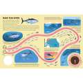 Epic Animal Journeys in the Sea: Animal Tracking Compass Book - Book - Paracay