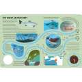 Epic Animal Journeys in the Sea: Animal Tracking Compass Book - Book - Paracay