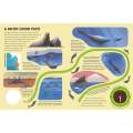 Epic Animal Journeys in the Sea: Animal Tracking Compass Book - Book - Paracay