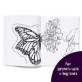 Hidden in Nature: A Cozy Hidden Pictures Coloring Book for Adults with Relaxing Nature Scenes, Intricate Hidden Pictures Puzzles and Stress-Relief Coloring Fun - Book - Paracay