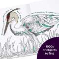 Hidden in Nature: A Cozy Hidden Pictures Coloring Book for Adults with Relaxing Nature Scenes, Intricate Hidden Pictures Puzzles and Stress-Relief Coloring Fun - Book - Paracay