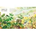 How to Become a Butterfly - Book - Paracay