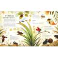 How to Become a Butterfly - Book - Paracay