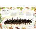 How to Become a Butterfly - Book - Paracay