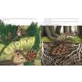 Listen to the Language of the Trees: A story of how forests communicate underground - Book - Paracay