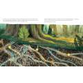 Listen to the Language of the Trees: A story of how forests communicate underground - Book - Paracay