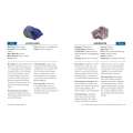 Rockhounding for Beginners: Your Comprehensive Guide to Finding and Collecting Precious Minerals, Gems, Geodes, & More - Book - Paracay