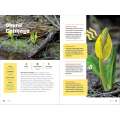 Wildflowers of the Pacific Northwest For Kids - Book - Paracay