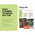 Wildflowers of the Pacific Northwest For Kids - Book - Paracay