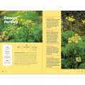 Wildflowers of the Pacific Northwest For Kids - Book - Paracay