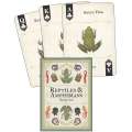 Reptiles & Amphibians - Playing Cards - Paracay