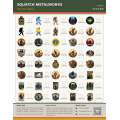 Squatch Metalworks Package Special STICKERS (WHOLESALE ONLY) - Paracay