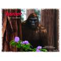 Bigfoot - 2027 - Calendar