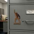 Disco Squatch V2 - Magnet - Paracay
