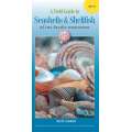 A Field Guide to Seashells & Shellfish of the Pacific Northwest (Folding Pocket Guide)