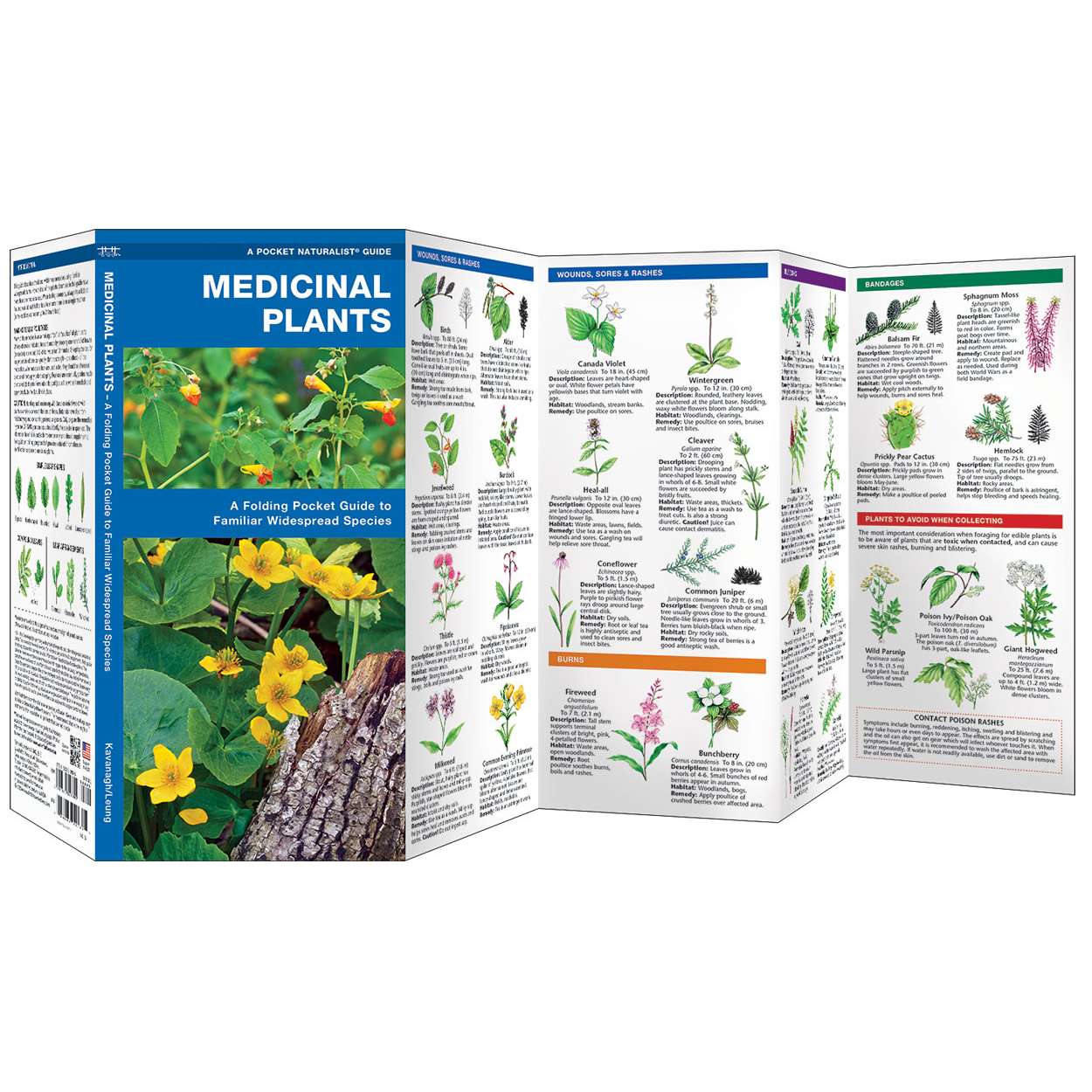 Outdoors, Camping &amp; Travel :: All Outdoors Books :: Plant &amp; Flower ...