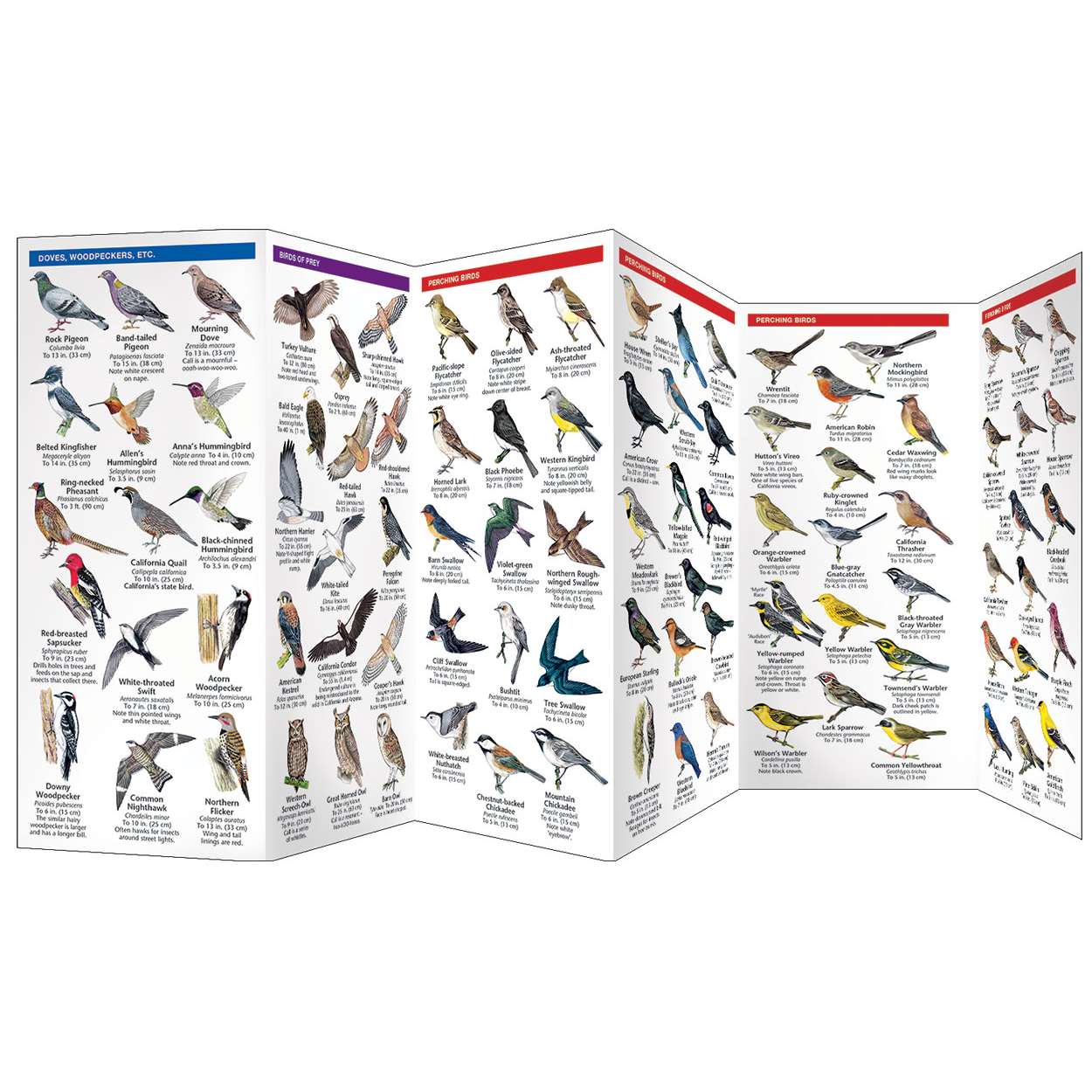 Outdoors, Camping & Travel All Outdoors Books Bird Identification