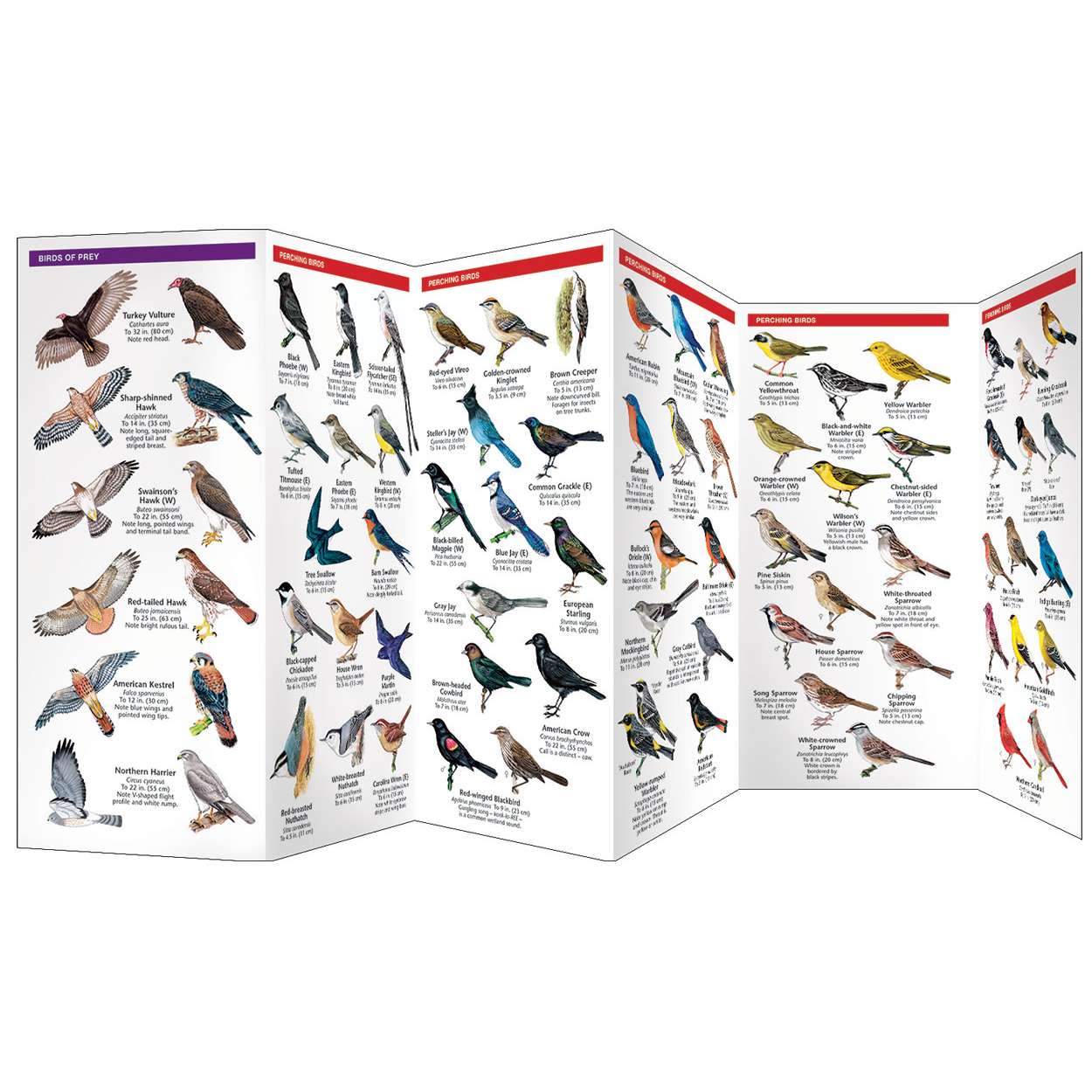 Outdoors, Camping & Travel All Outdoors Books Bird Identification