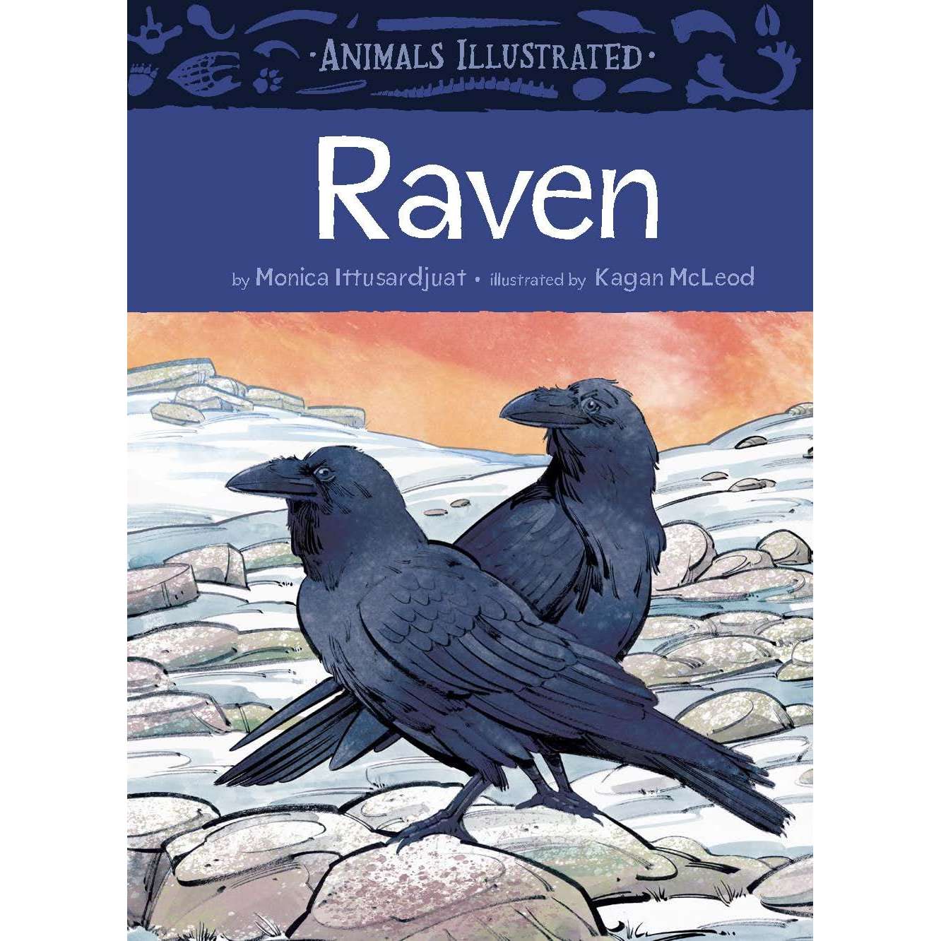 Animals Illustrated: Raven - Book - Paracay
