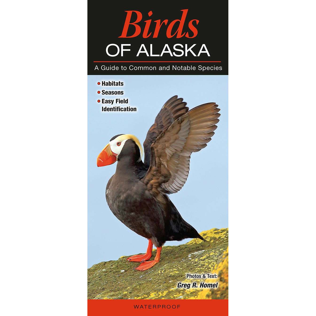 Outdoors, Camping & Travel All Outdoors Books Bird Identification