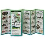 Fishes of Florida's Gulf Coast (Folding Guides)