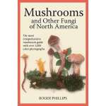 Mushroom Identification Guides :Mushrooms and Other Fungi of North America