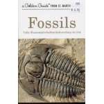 Fossils (Golden Guide)