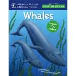 Marine Mammals :Storytime Stickers: Whales