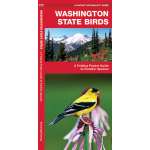 Birding :Washington Birds