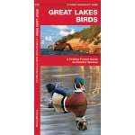 Great Lakes Birds