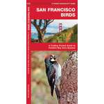 Bird Identification Guides :San Francisco Birds