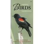 A Field Guide to Birds of the Pacific Northwest (Folding Pocket Guide)