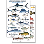 Mexico: Caribbean Sport Fish (Laminated 2-Sided Card)